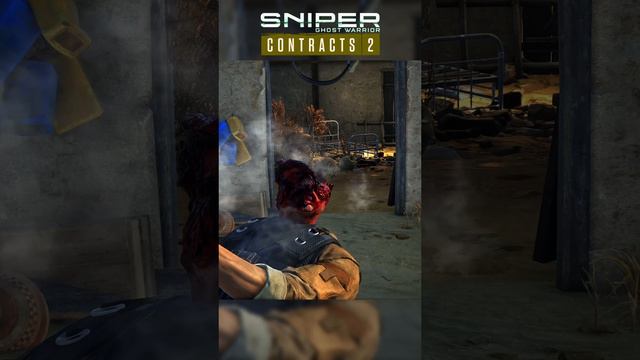 СНАЙПЕР. ХЭДШОТ Sniper Ghost Warrior Contracts 2 в 2024 году
