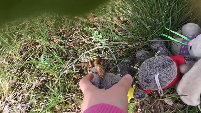 Мини Басики пошли на пруд
