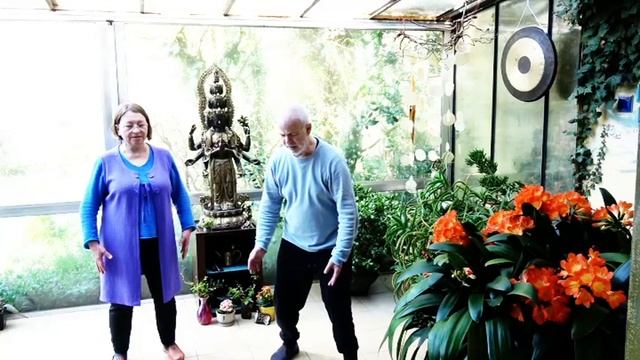 Corona Qigong Skype 3 - Deutsch / Russisch