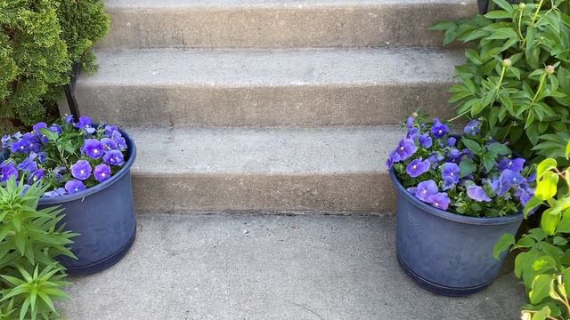 GreenStalk Planters | Vertical Gardening for small spaces