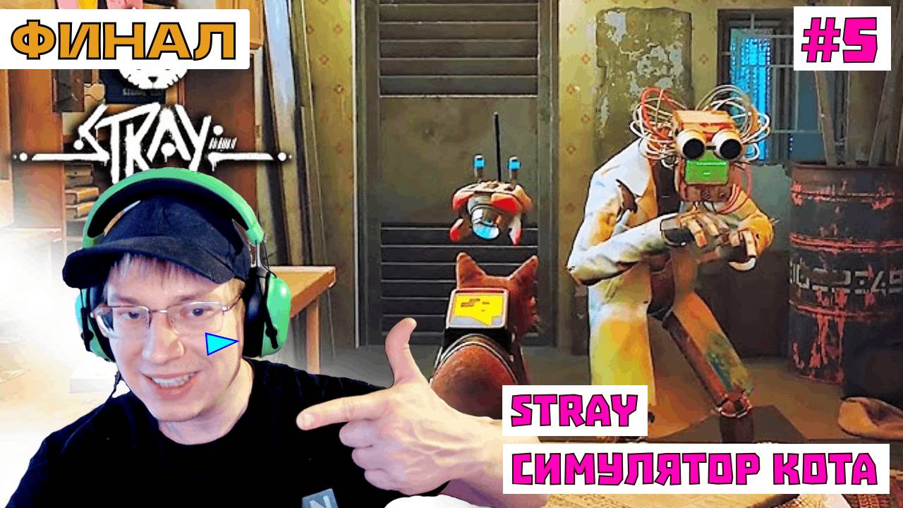 Стрим по Котику - Stray