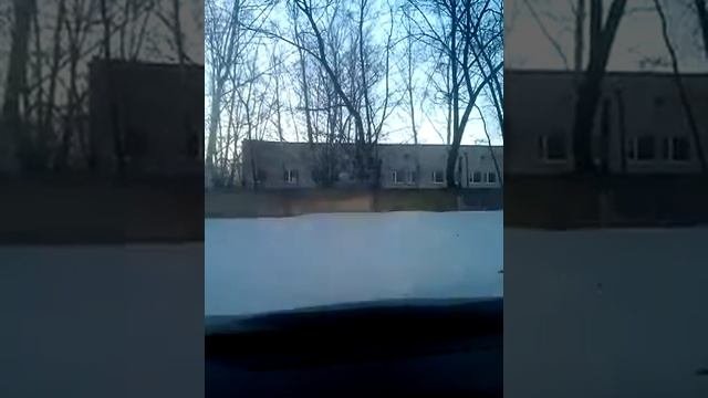 автокорректор силичъ