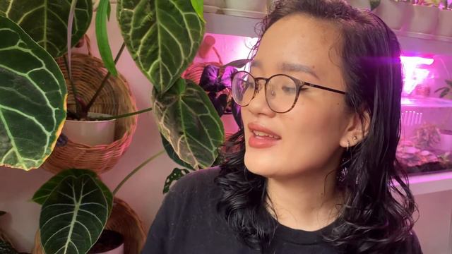 Plant Haul: More Hoyas, A Weird Ceropegiia, And A Silver Scindapsus! | July 2021