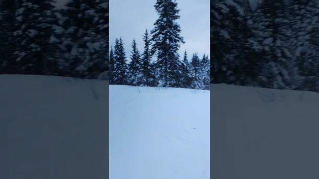 winter day