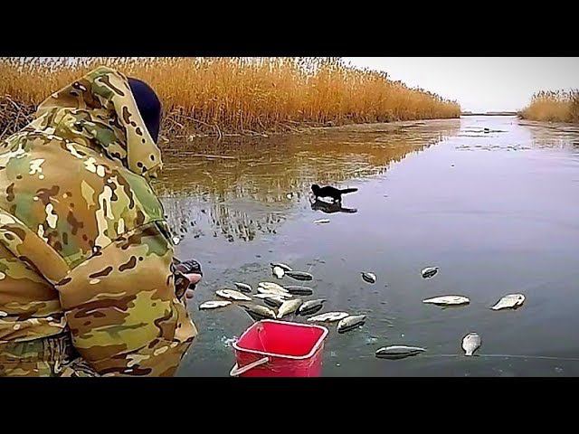 Я просто хотел поймать карася, а ловился крупный краснопёр. Зимняя рыбалка уже не по первому льду.