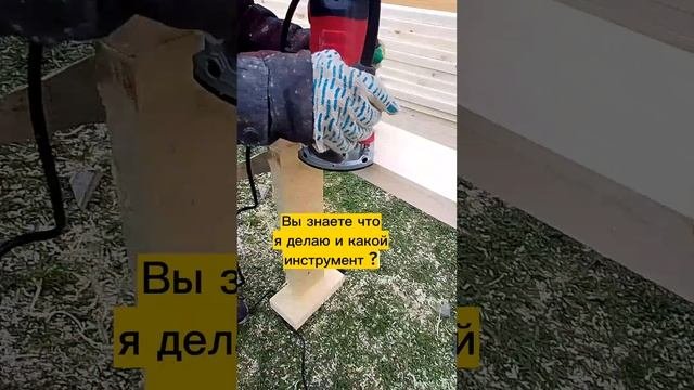 Проверка вашего знания...  #врекомендации #shorts