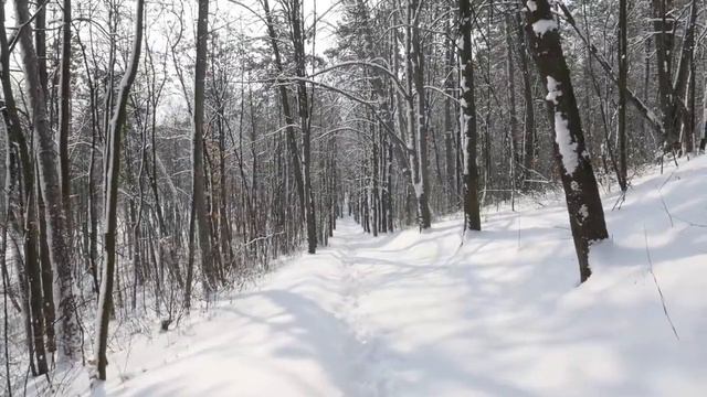Самая красивая мелодия на свете! Эту музыку можно слушать вечно! Спокойная Музыка Для Снятия Стресс