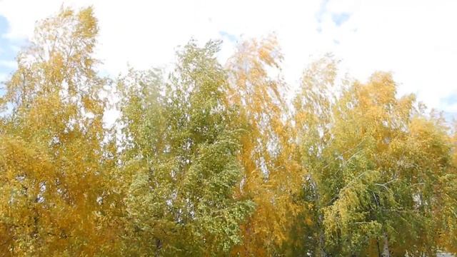 Осень златая