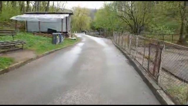 Открыт Зоопарк в Каунас, прогулка Онлайн с Викингом