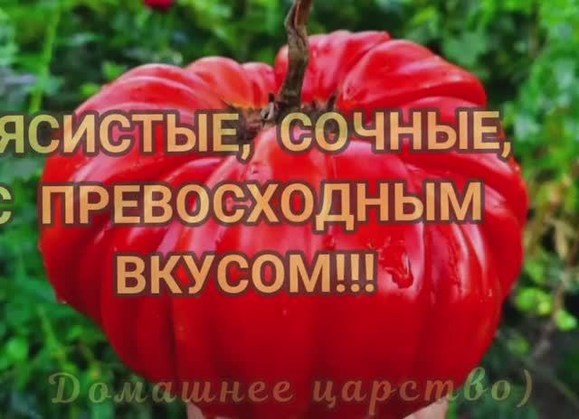 ТОМАТЫ - сорта, которые буду повторять! Обзор