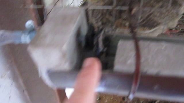 Поилка для перепелок своими руками