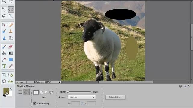 Learn how to use Photoshop Elements 11 - Part 49 - How to Use Eye Dropper and Color Swatches
