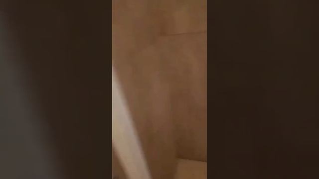 смешнивка 9