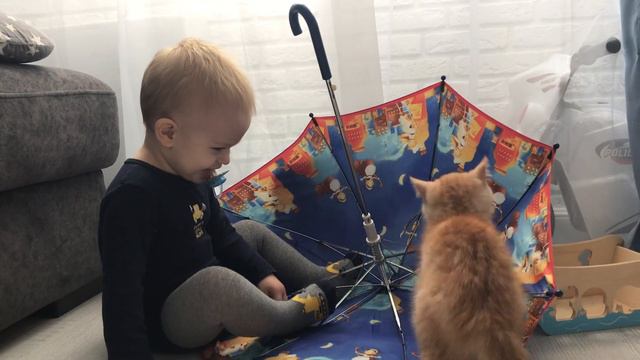 Малыш Саша и как правильно играть с котом