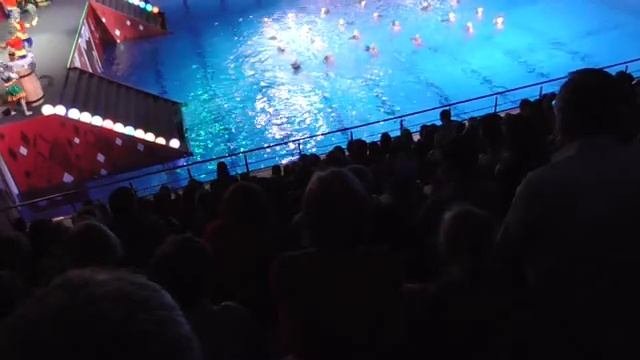 водное шоу сказка о царе салтане 02.01.2018