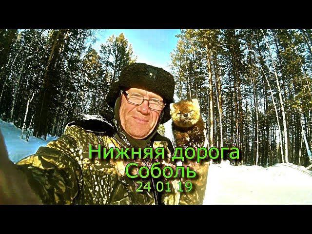 Нижняя дорога Соболь 24 01 19