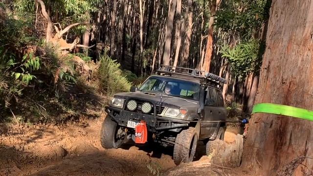4wding in Toolangi with a gu patrol rd28