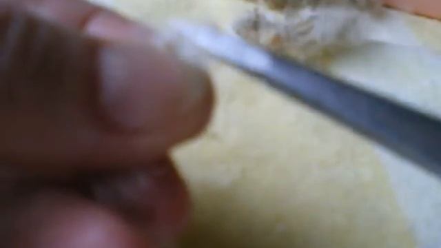 Как расчесать пух ивы.