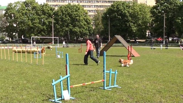 09 05 14 Аджилити А1 Була Людмила и Almira