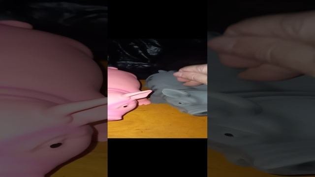 VID_20231207_204601.mp4