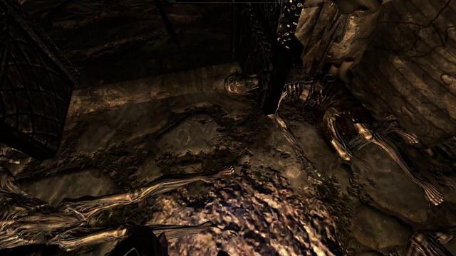 "It's not a bug, it's a feature.." | Skyrim