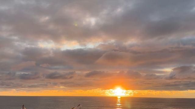 Сочи, Январь 2024
Магическое море, зима на побережье, город-курорт Сочи. Медитация под шум моря