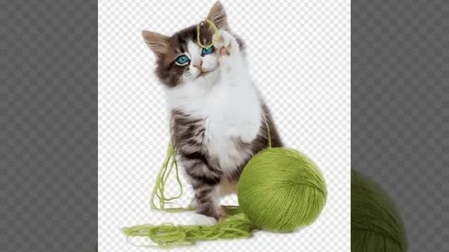 ☀️Котенок Симка 😺🍩Стихи и стишата для малышей 📚