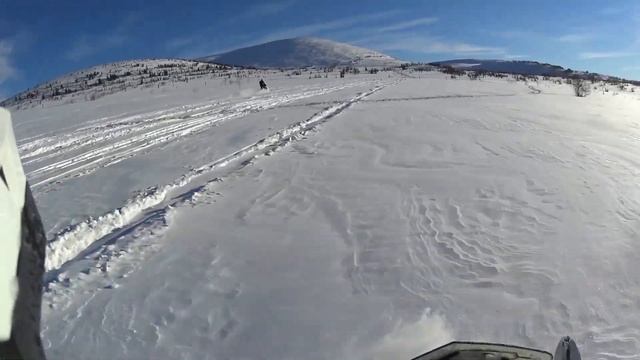 Приисковый 2015