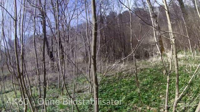 Akaso Brave 7 Actioncam Testvideo