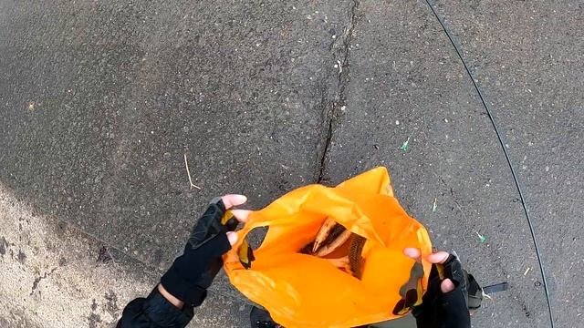 Ловля скумбрии с берега  Catch mackerel from pier