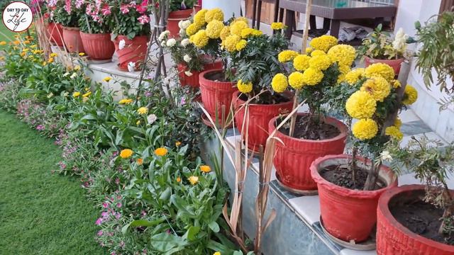 Spring Garden 2021| Vlog 11 | Indian Spring | Day to Day Life by Ritika