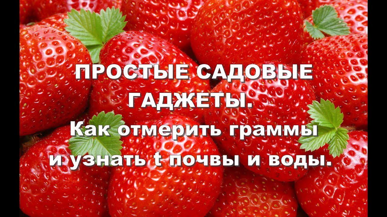 ПРОСТЫЕ САДОВЫЕ ГАДЖЕТЫ. Как измерить граммы и узнать t почвы и воды?