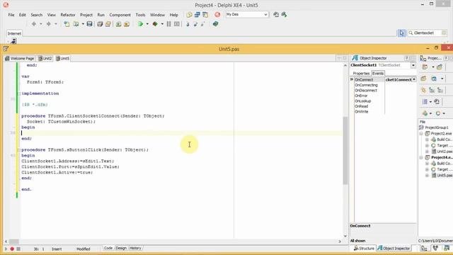 DELPHI ClientSocketServerSocket.