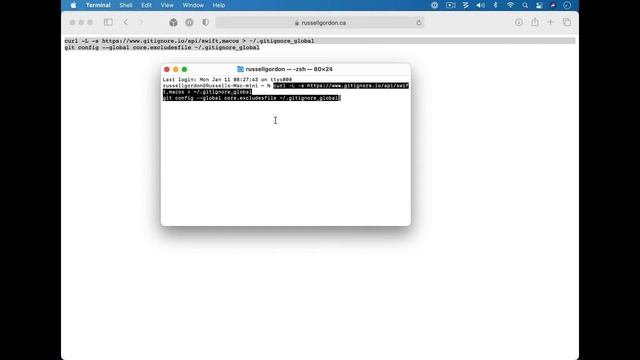 Ignoring Files for Source Control