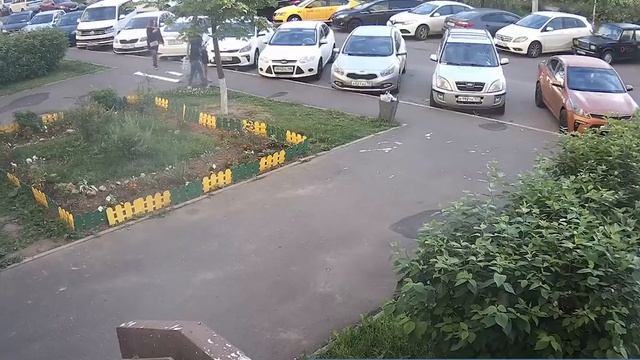 Хулиганы из Домодедово