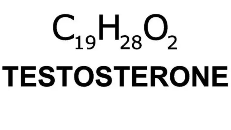 Какие виды тестостерона есть в организме?