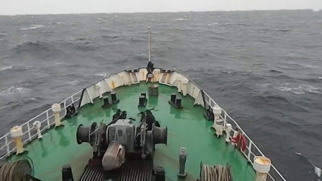 Охотское море осень 2016 год.