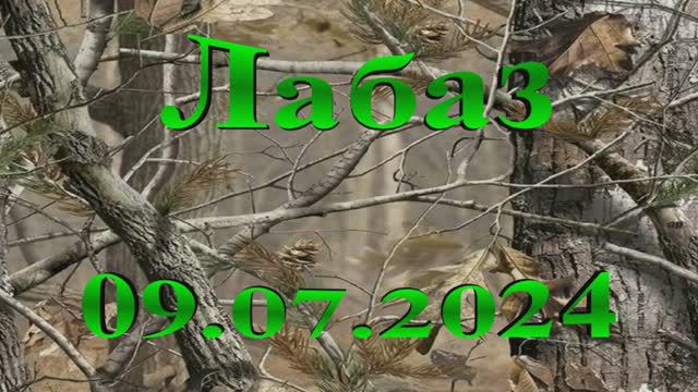Лабаз. Лето. 09.07.2024