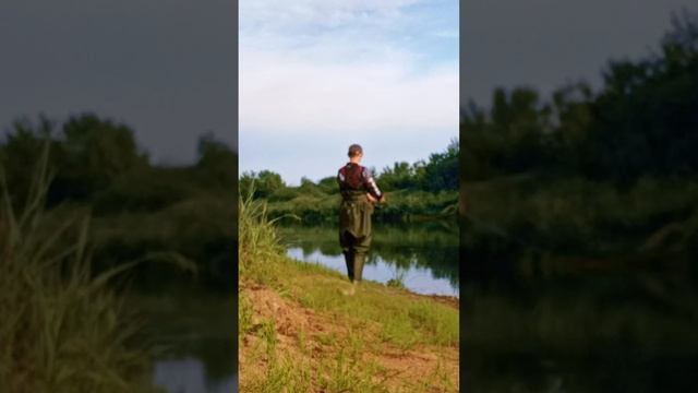 Обидно, досадно...но, ладно