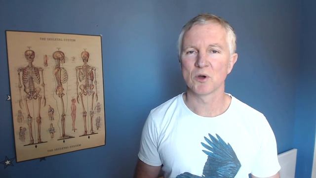 How to schedule a consultation