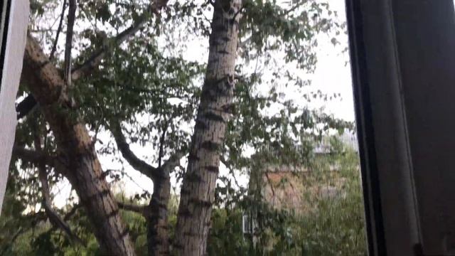 Москитные сетки-скрытая угроза!