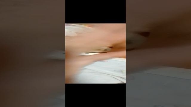 Милка спит ей завтра к репетитору