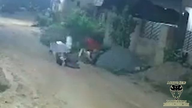 Woman Hops On The Back Of Thief's Motorcycle To Grapple Him