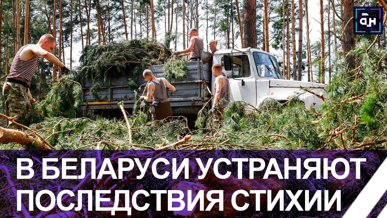 На контроле Президента! Как в Беларуси устраняют последствия природной стихии? Панорама