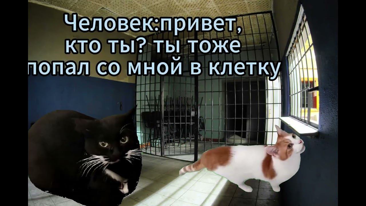 План побега✨