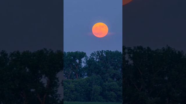 Rise of the Full Strawberry Moon 2023 (Part 2)