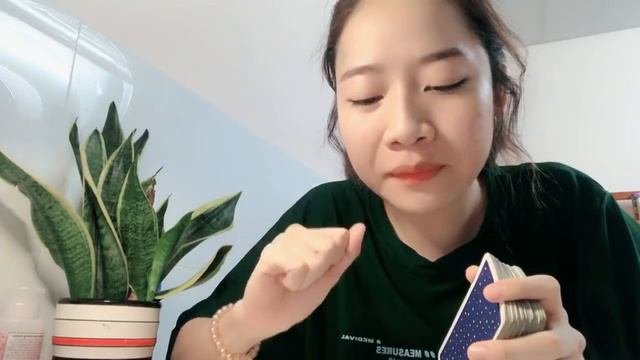 (Tarot) Điều Họ Muốn Nói || Camellia Blooms Tarot