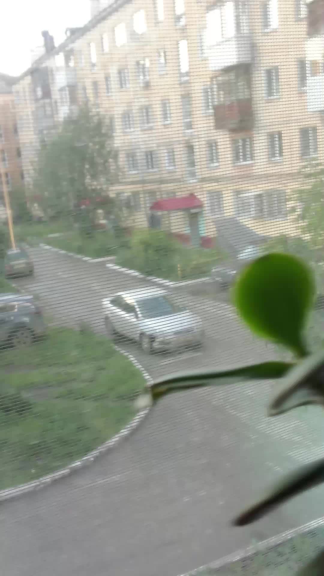 первый Стрим