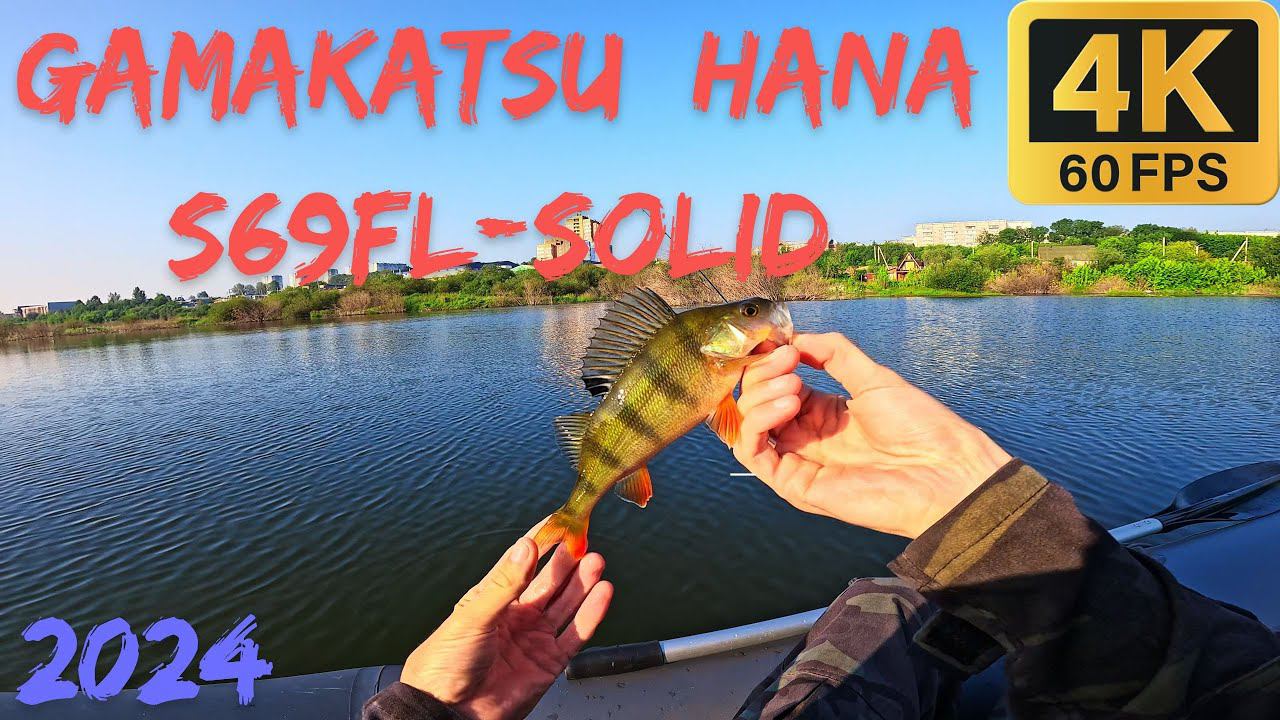 Окунь на Gamakatsu LUXXE Yoihime Hana S69FL-solid.