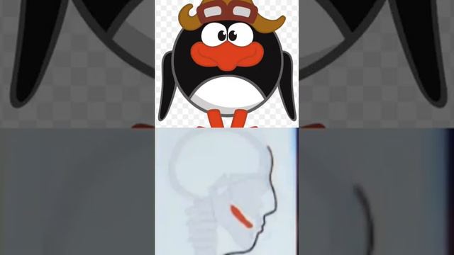 Пин edit